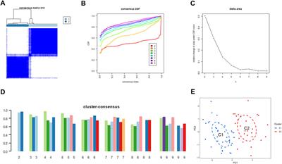 Identification and immunological characterization of endoplasmic reticulum stress-related molecular subtypes in bronchopulmonary dysplasia based on machine learning